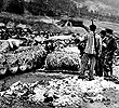 concentration camp workers to help inventory parts for V-2 missiles at the Nordhausen facility